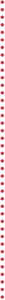 vertical background image with dots in a line