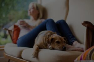Woman relaxing with dog