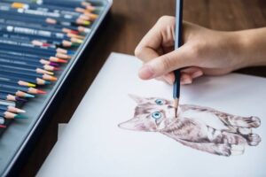 person drawing cat